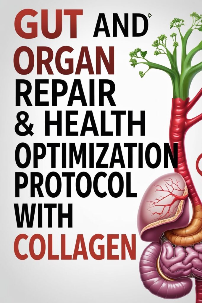 Gut and Organ Repair & Health Optimization Protocol with Collagen