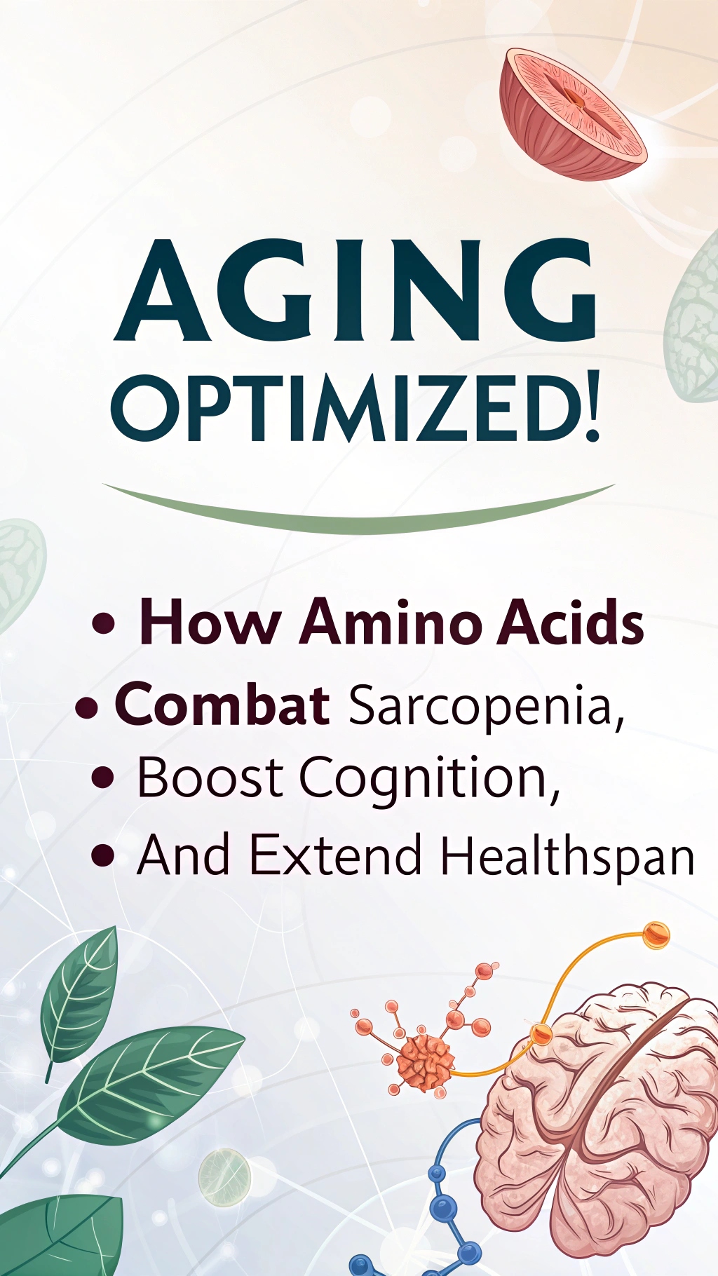 Aging Optimized! How Amino Acids Combat Sarcopenia, Boost Cognition, and Extend Healthspan